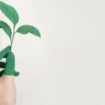 Dow Delfzijl bouwt duurzame installatie